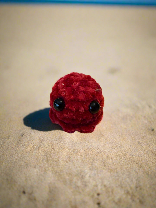 Baby Octopus