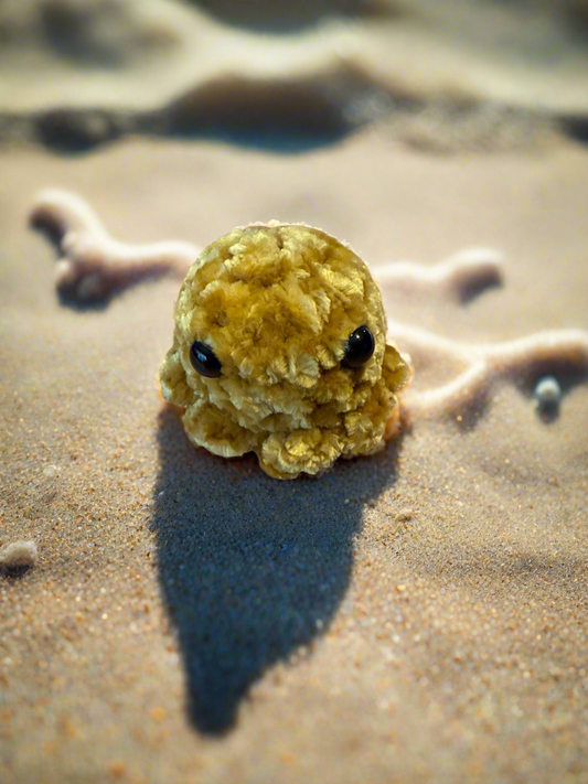 Baby Octopus