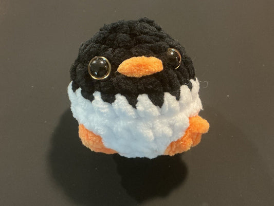 Baby Penguin